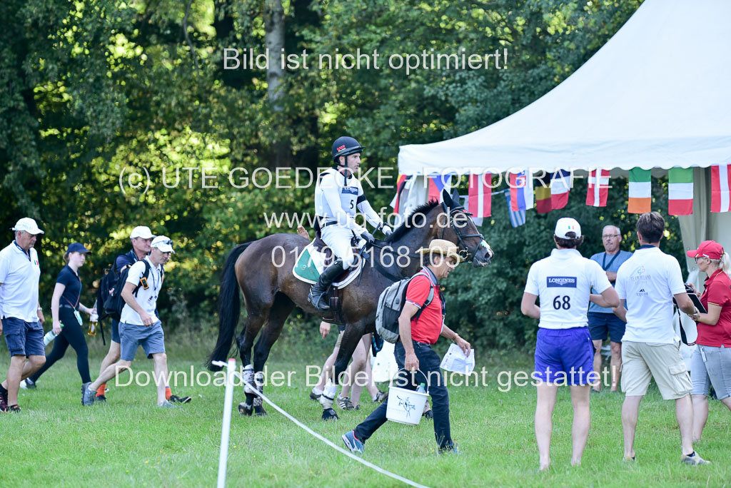 FEI Eventing European Championships 2019 in Luhmühlen | Glynn, Ciaran - November Night_3