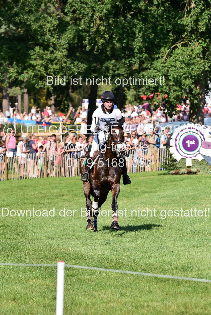 FEI  Eventing European Championships 2019 in Luhmühlen | Glynn, Ciaran - November Night_4 