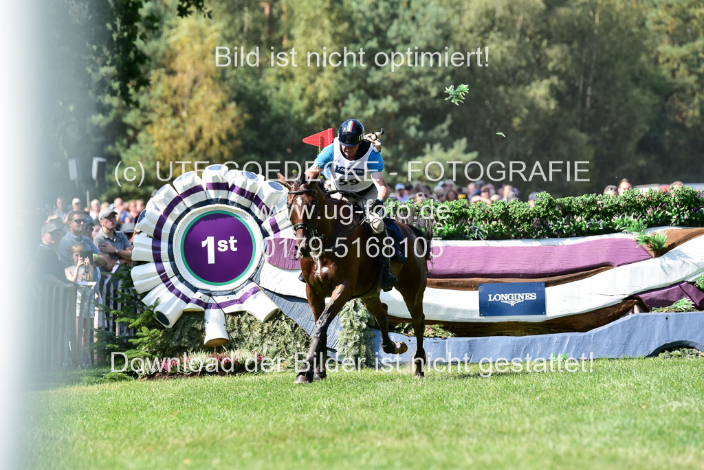 FEI Eventing European Championships 2019 in Luhmühlen | Junco CP - Marco BIASIA (ITA)_6