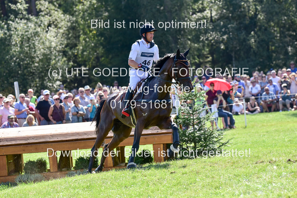 FEI Eventing European Championships 2019 in Luhmühlen | Jung, Michael - fischer Chipmuk_22