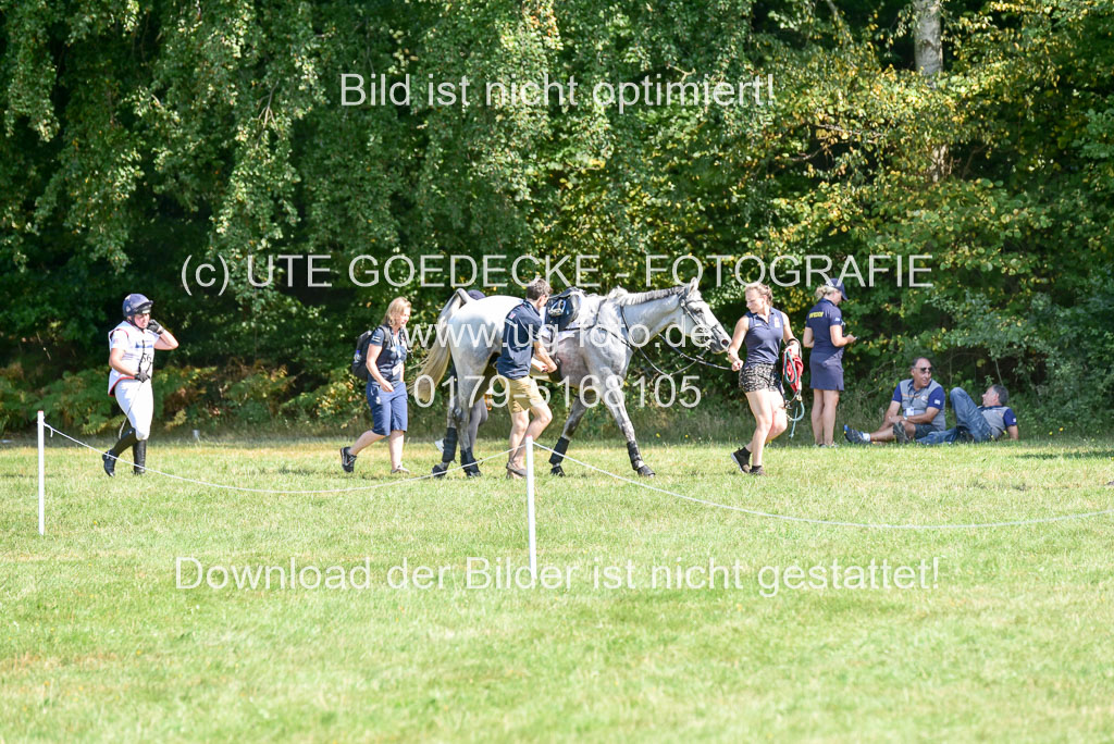 FEI Eventing European Championships 2019 in Luhmühlen | King, Kitty - Vendredi Biats_27