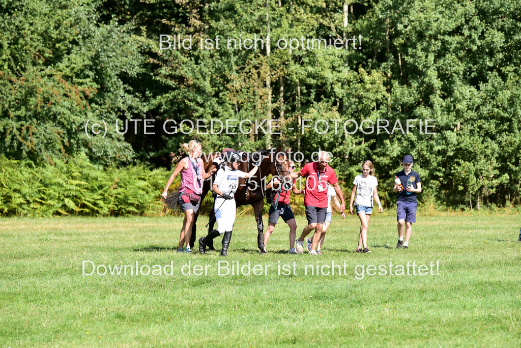 FEI Eventing European Championships 2019 in Luhmühlen | Klimke, Ingrid - Bobby_48