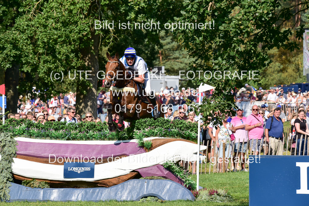 FEI  Eventing European Championships 2019 in Luhmühlen | Lindbäck, Niklas - Focus Filiocus_01 