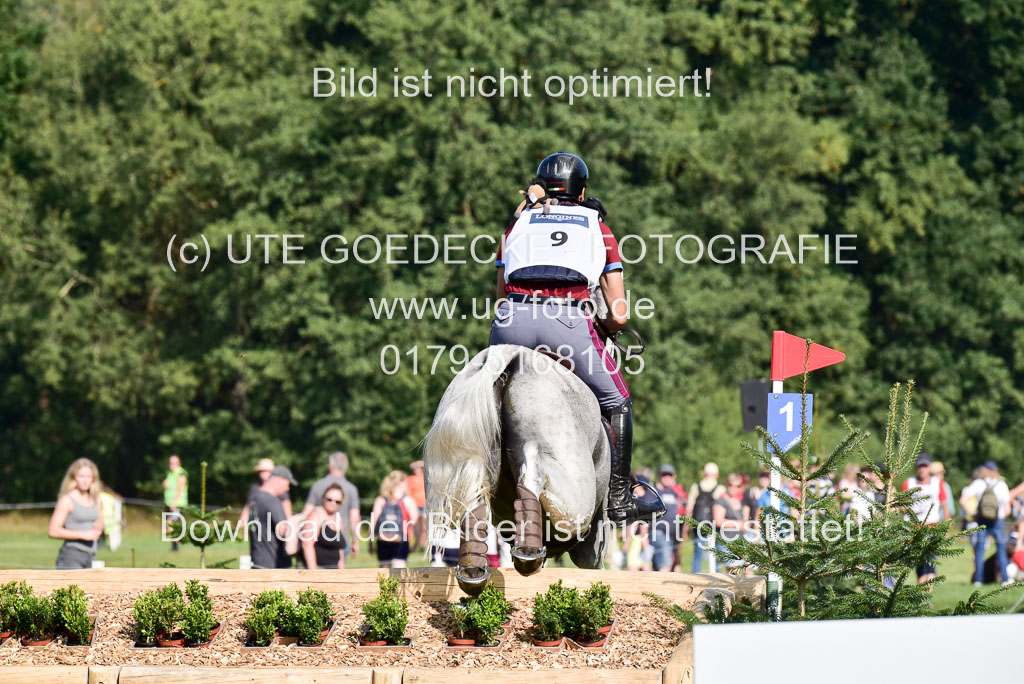 FEI  Eventing European Championships 2019 in Luhmühlen | Roman, Pietro - Barraduff_4 