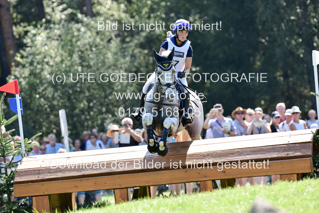 FEI Eventing European Championships 2019 in Luhmühlen | Romeike, Louise - Waikiki_19