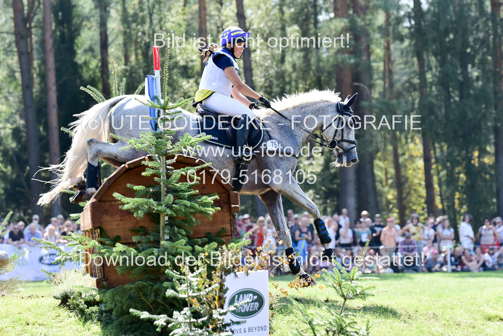 FEI Eventing European Championships 2019 in Luhmühlen | Romeike, Louise - Waikiki_24