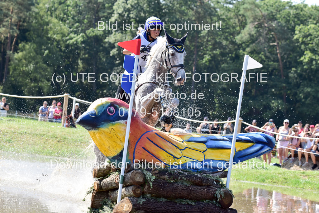 FEI Eventing European Championships 2019 in Luhmühlen | Romeike, Louise - Waikiki_34
