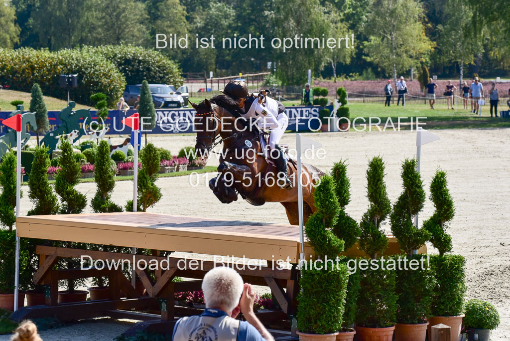 FEI Eventing European Championships 2019 in Luhmühlen | Siemer, Anna - FRH Butts Avendale_3