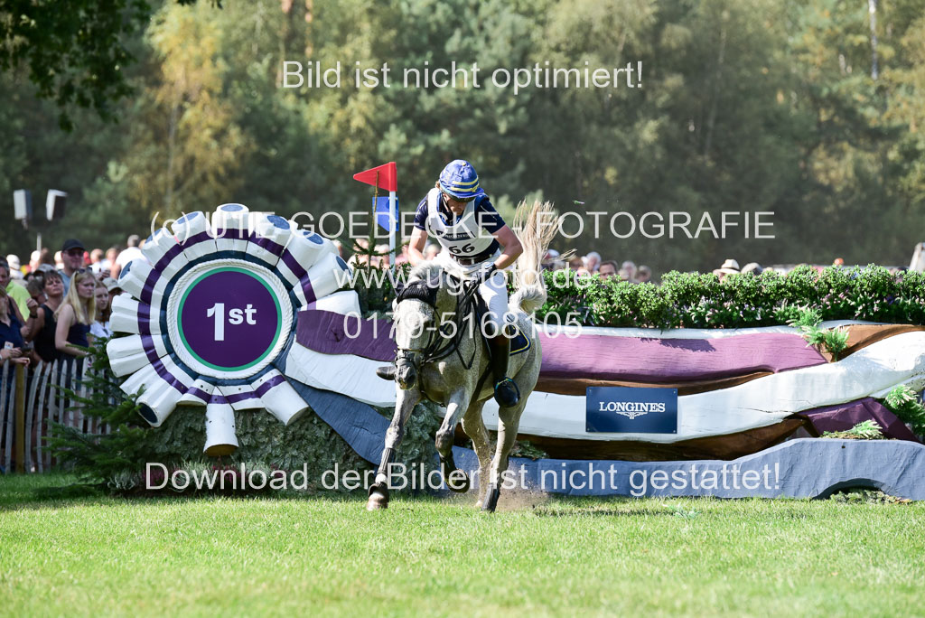 FEI Eventing European Championships 2019 in Luhmühlen | Svennerstal, Ludwig _06