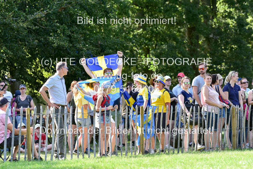 FEI  Eventing European Championships 2019 in Luhmühlen | Svennerstal, Ludwig _34 