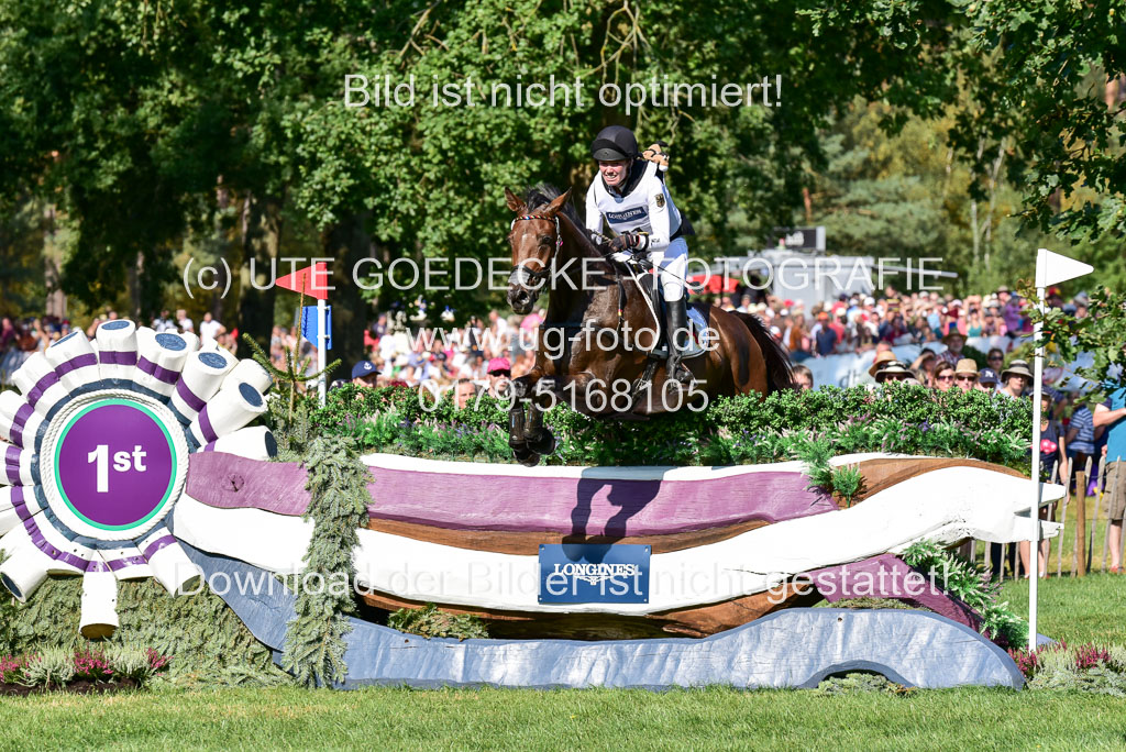 FEI  Eventing European Championships 2019 in Luhmühlen | Vogel, Anna Catharina - DSP Quintana 2_03 