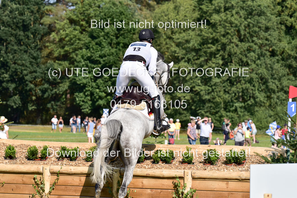 FEI  Eventing European Championships 2019 in Luhmühlen | Wahler, Christoph - Carjatan S _12 