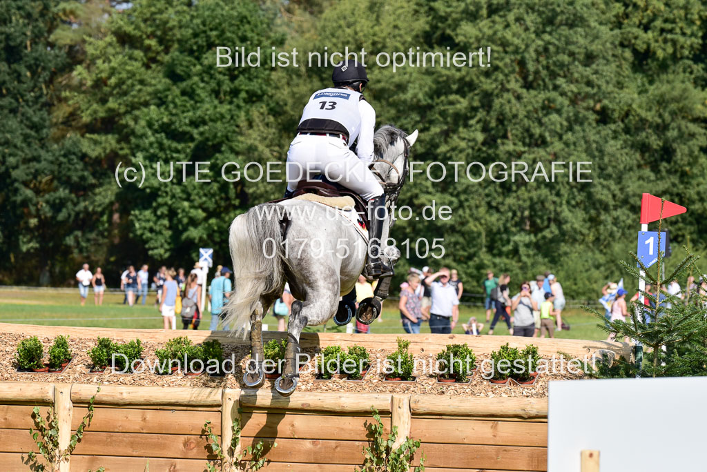 FEI  Eventing European Championships 2019 in Luhmühlen | Wahler, Christoph - Carjatan S _13 