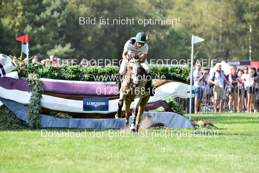 FEI  Eventing European Championships 2019 in Luhmühlen | Watson, Sam - Tullabeg Flamenco_08 