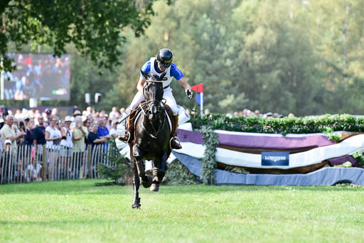 FEI  Eventing European Championships 2019 in Luhmühlen | Duchess Desiree -  Elmo JANKARI (FINDSC_8480) 