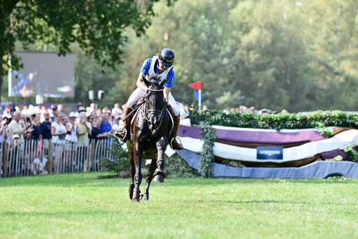 FEI  Eventing European Championships 2019 in Luhmühlen | Duchess Desiree -  Elmo JANKARI (FINDSC_8481) 