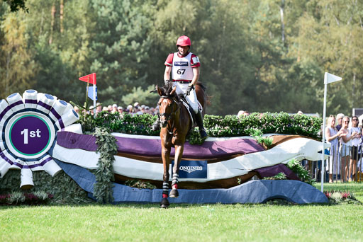 FEI  Eventing European Championships 2019 in Luhmühlen | Lexikon 2 -  Dr. Harald AMBROS (AUTDSC_8341) 