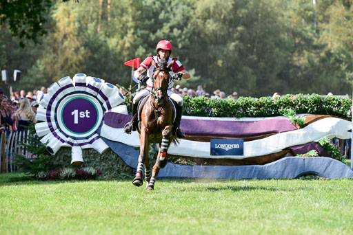 FEI  Eventing European Championships 2019 in Luhmühlen | Lexikon 2 -  Dr. Harald AMBROS (AUTDSC_8347) 