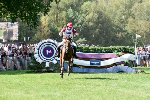 FEI  Eventing European Championships 2019 in Luhmühlen | Lexikon 2 -  Dr. Harald AMBROS (AUTDSC_8349) 