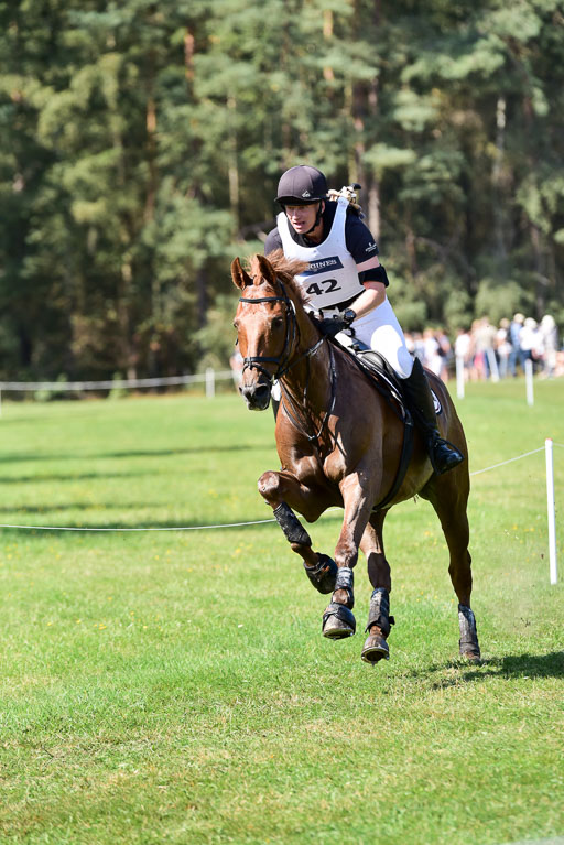 FEI  Eventing European Championships 2019 in Luhmühlen | Præstegårdens Leopold - Hans BAUER (NOR)_4 