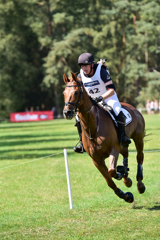 FEI  Eventing European Championships 2019 in Luhmühlen | Præstegårdens Leopold - Hans BAUER (NOR)_6 