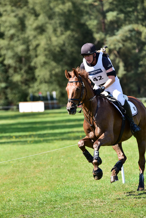 FEI  Eventing European Championships 2019 in Luhmühlen | Præstegårdens Leopold - Hans BAUER (NOR)_7 