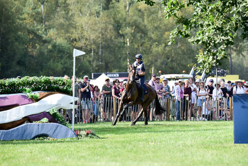 FEI  Eventing European Championships 2019 in Luhmühlen | Super Cillious  - Vittoria PANIZZON (ITADSC_8443) 