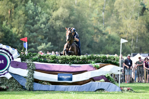 FEI  Eventing European Championships 2019 in Luhmühlen | Super Cillious  - Vittoria PANIZZON (ITADSC_8445) 