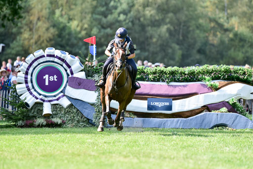 FEI  Eventing European Championships 2019 in Luhmühlen | Super Cillious  - Vittoria PANIZZON (ITADSC_8452) 