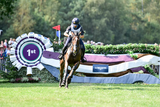 FEI  Eventing European Championships 2019 in Luhmühlen | Super Cillious  - Vittoria PANIZZON (ITADSC_8453) 