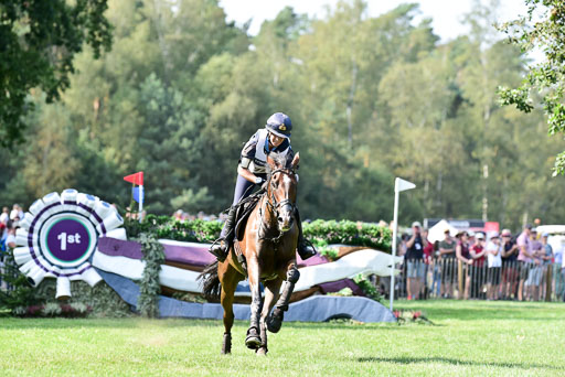 FEI  Eventing European Championships 2019 in Luhmühlen | Super Cillious  - Vittoria PANIZZON (ITADSC_8458) 