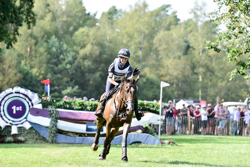 FEI  Eventing European Championships 2019 in Luhmühlen | Super Cillious  - Vittoria PANIZZON (ITADSC_8459) 