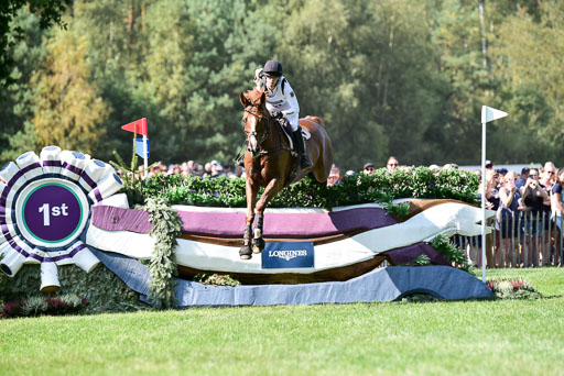 FEI  Eventing European Championships 2019 in Luhmühlen | Auffarth, Sandra - Viamont du Matz_06 