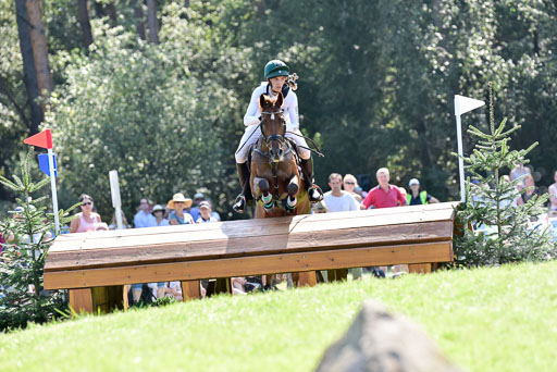 FEI  Eventing European Championships 2019 in Luhmühlen | Daniels, Cathal - Rioghan Rua_22 