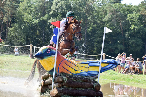 FEI  Eventing European Championships 2019 in Luhmühlen | Daniels, Cathal - Rioghan Rua_33 