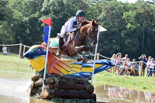 FEI  Eventing European Championships 2019 in Luhmühlen | Daniels, Cathal - Rioghan Rua_34 