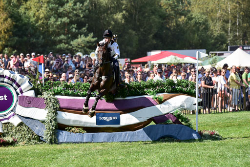 FEI  Eventing European Championships 2019 in Luhmühlen | Etzel, Felix - Bandit 2_07 