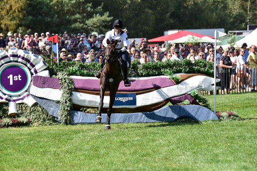 FEI  Eventing European Championships 2019 in Luhmühlen | Etzel, Felix - Bandit 2_08 