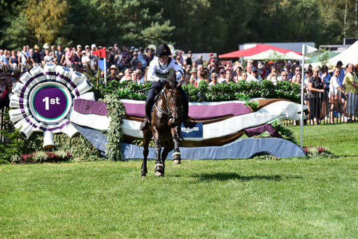 FEI  Eventing European Championships 2019 in Luhmühlen | Etzel, Felix - Bandit 2_13 