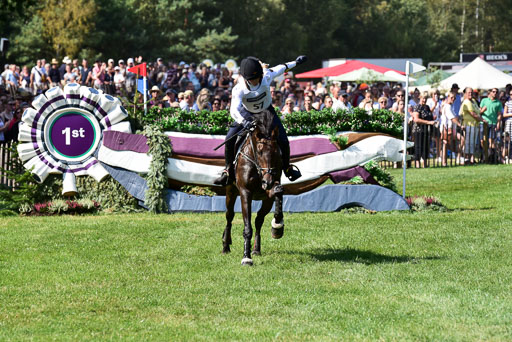 FEI  Eventing European Championships 2019 in Luhmühlen | Etzel, Felix - Bandit 2_16 