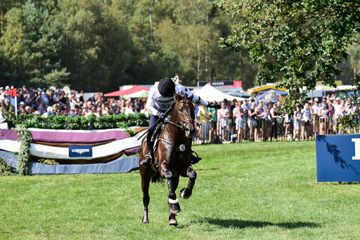 FEI  Eventing European Championships 2019 in Luhmühlen | Etzel, Felix - Bandit 2_20 
