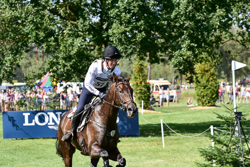 FEI  Eventing European Championships 2019 in Luhmühlen | Etzel, Felix - Bandit 2_24 