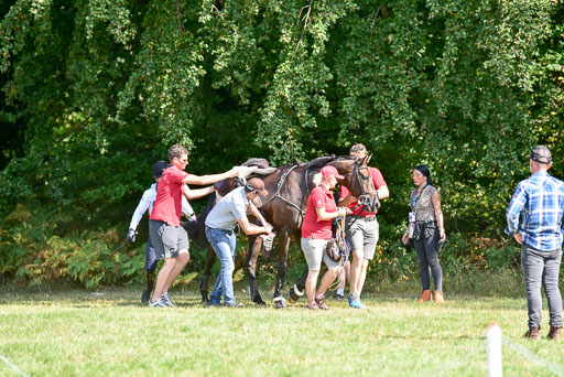 FEI  Eventing European Championships 2019 in Luhmühlen | Etzel, Felix - Bandit 2_35 