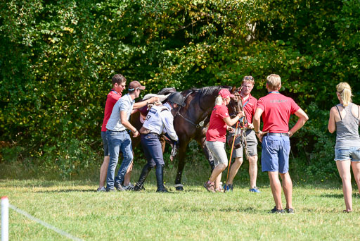 FEI  Eventing European Championships 2019 in Luhmühlen | Etzel, Felix - Bandit 2_37 