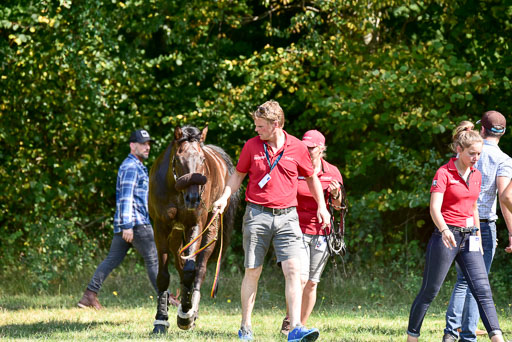 FEI  Eventing European Championships 2019 in Luhmühlen | Etzel, Felix - Bandit 2_39 