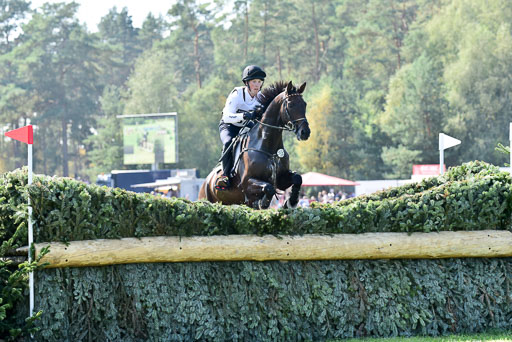 FEI  Eventing European Championships 2019 in Luhmühlen | Etzel, Felix - Bandit_04 