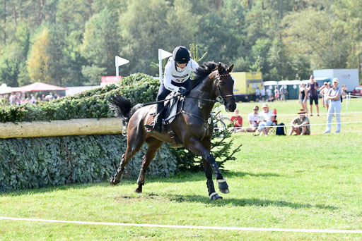 FEI  Eventing European Championships 2019 in Luhmühlen | Etzel, Felix - Bandit_08 