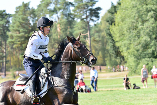 FEI  Eventing European Championships 2019 in Luhmühlen | Etzel, Felix - Bandit_12 