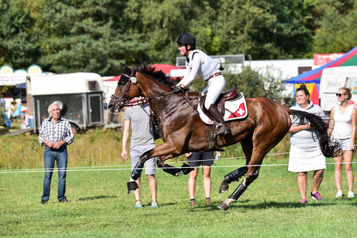 FEI  Eventing European Championships 2019 in Luhmühlen | Gerber, Caroline - TGresoe de _1 