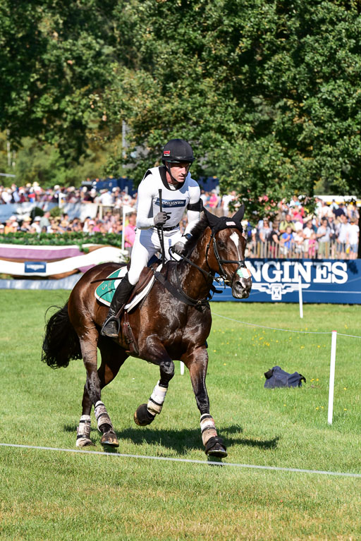 FEI  Eventing European Championships 2019 in Luhmühlen | Glynn, Ciaran - November Night_1 